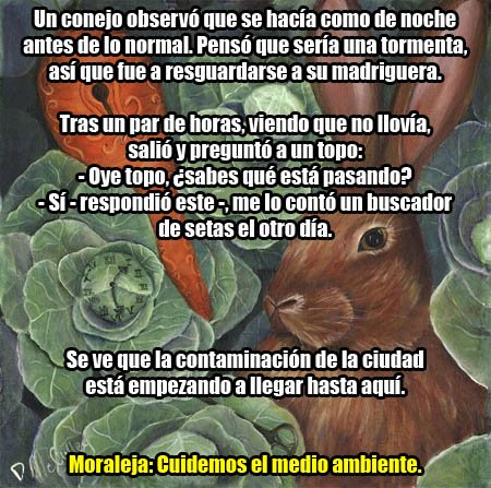 EL CONEJO PERPLEJO