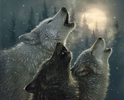 EL LOBO Y EL ASNO