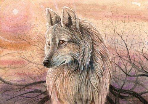 EL LOBO Y EL CABRITO ENCERRADO