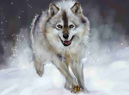 EL LOBO Y EL PERRO