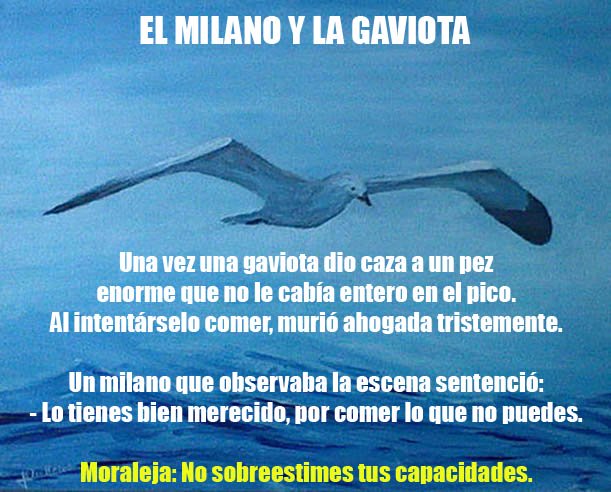 EL MILANO Y LA GAVIOTA